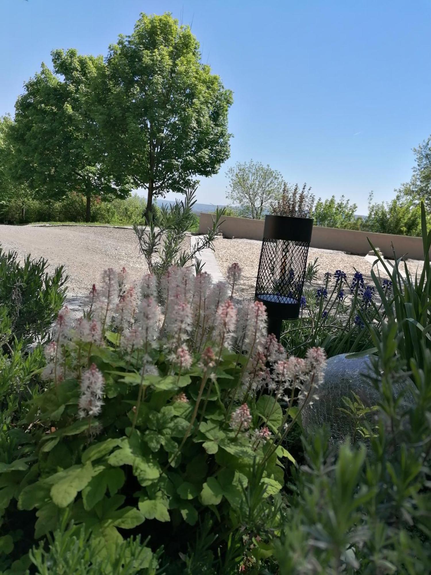 Ferienwohnung Schuhmann Mit Wintergarten Und Garten Therme Aquapulco Und Ikuna Erlebnispark, Zoo Schmiding 20 Min Mit Auto Entfernt Ab 3 Naechte Buchbar Hinzenbach Екстериор снимка